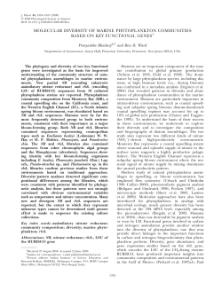 molecular diversity of marine phytoplankton