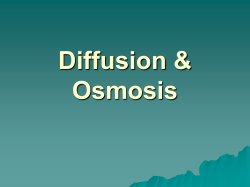Diffusion_osmosis_final