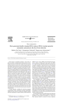 Host-generated double stranded RNA induces RNAi in plant