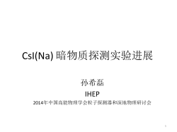 Direct WIMPs Search with Dual Light