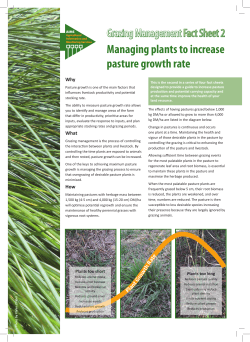 Managing plants to increase pasture growth rate
