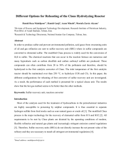 Different-Options-for-Reheating-of-the-Claus-Hydrolyzing