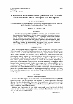 403 A Systematic Study of the Genus Spirillum which Occurs in