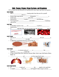 Cells, Tissues, Organs, Organ Systems, and Organisms