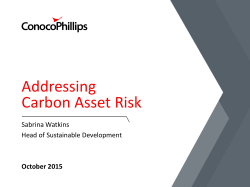 SD+Climate Change Carbon Asset Risk for IR