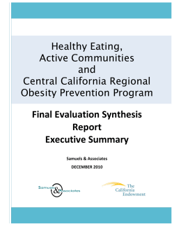 Final Evaluation Synthesis Report Executive