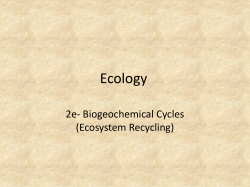 Ecology - msfoltzbio