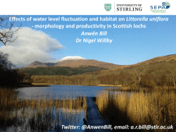 Effects of water level fluctuation and habitat on Littorella uniflora pdf