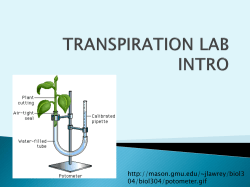 transpiration lab intro