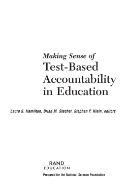 Making Sense of Test-Based Accountability in Education