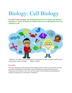 studyguide-cellbiologyt-f-docx-gq1
