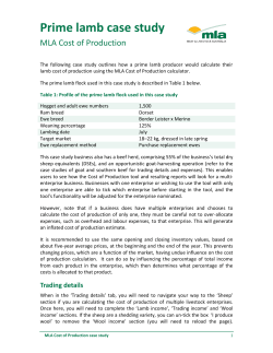Prime lamb case study