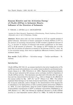 Enzyme Kinetics and the Activation Energy of (Na,K)
