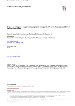 Excess post-hypoxic oxygen consumption is independent