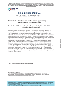 Peroxiredoxin 1 (Prx1) is a dual function enzyme by possessing Cys