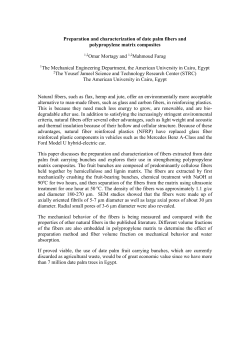 Abstract - The American University in Cairo