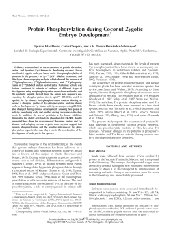 Protein Phosphorylation during Coconut Zygotic