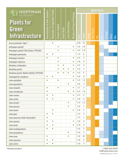 Plants for Green - Hoffman Nursery