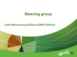 Role of the ESSnet steering groups and ways to manage it