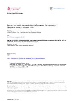 University of Groningen Structure and membrane organization of