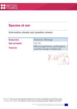 Information and question sheets  - EAL Nexus