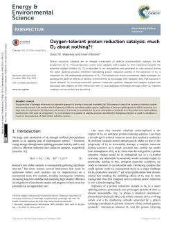 Oxygen-tolerant proton reduction catalysis: much O2 about nothing?