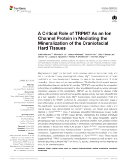A Critical Role of TRPM7 As an Ion Channel Protein in