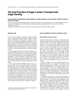 The Dual Function of Sugar Carriers: Transport and