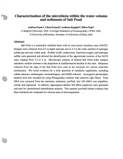 Characterization of the microbiota within the water column and