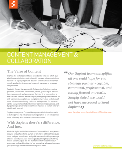 Our Sapient team exemplifies all one could hope for in a strategic