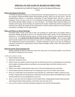 So You Want to Run for the NASW