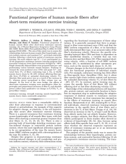 Functional properties of human muscle fibers