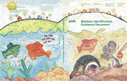 EPA`s Stressor Identification Guidance
