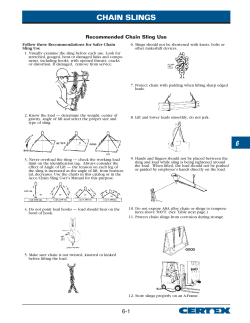 CHAIN SLINGS