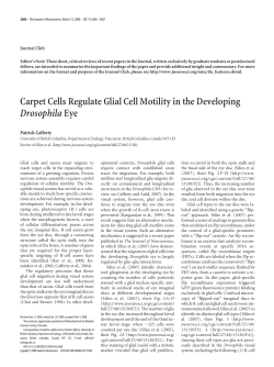 Carpet Cells Regulate Glial Cell Motility in the