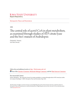 The central role of acetyl-CoA in plant metabolism, as examined