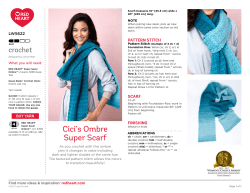 Cici`s Ombre Super Scarf