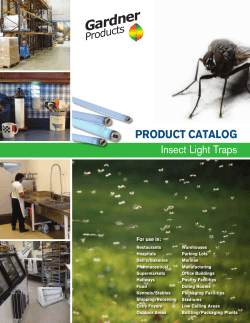 DiRECT PLUG-in ADHESivE TRAP FlyWeb Fly Light