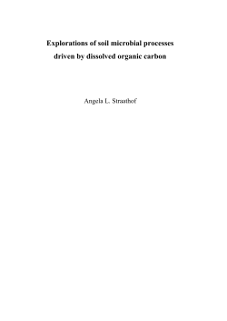 Explorations of soil microbial processes driven by dissolved organic