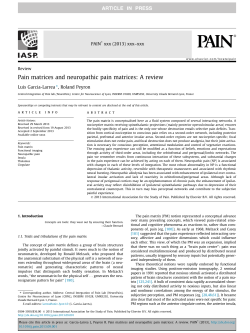 Pain matrices and neuropathic pain matrices: A review