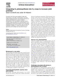 Integrating C4 photosynthesis into C3 crops to increase yield
