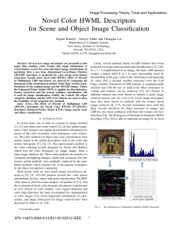 Novel Color HWML Descriptors for Scene and Object Image