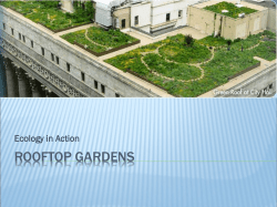 Rooftop Gardens - Teach Engineering