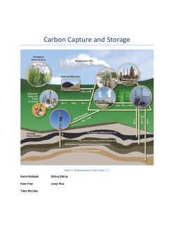 Carbon Capture and Storage - College of Earth and Mineral Sciences