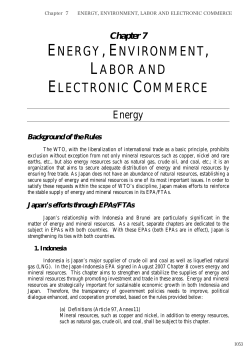 Chapter 7 Energy, Environment and Electronic Commerce (PDF
