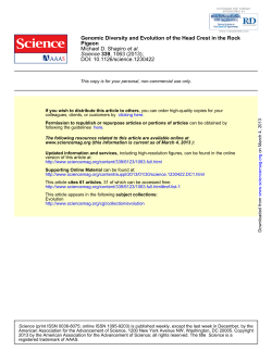 Genomic Diversity and Evolution of the Head