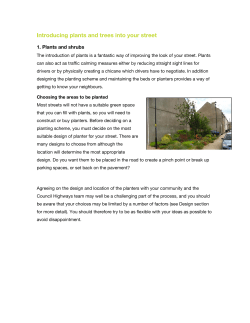 Introducing plants and trees into your street