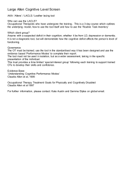 Large Allen Cognitive Level Screen