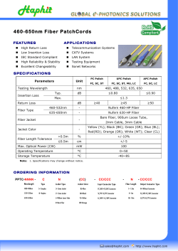 460-650nm Fiber PatchCords