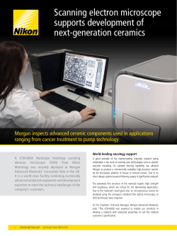 Scanning electron microscope supports